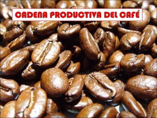 Presentación cadena productiva café