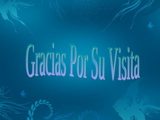 Calidad de la Informacion