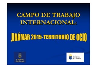 CAMPO DE TRABAJOCAMPO DE TRABAJO
INTERNACIONAL:INTERNACIONAL:
 