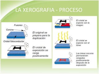 LA XEROGRAFIA - PROCESO
 