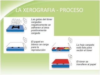 LA XEROGRAFIA - PROCESO
 