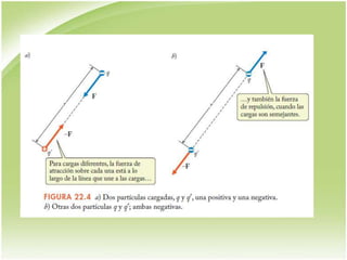 Presentación campos
