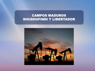 CAMPOS MADUROS
SHUSHUFINDI Y LIBERTADOR
 