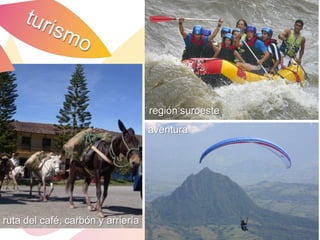regiónLengua Española 2007
                                    Congreso
                                             suroeste
                                   aventura




ruta del café, carbón y arriería
 