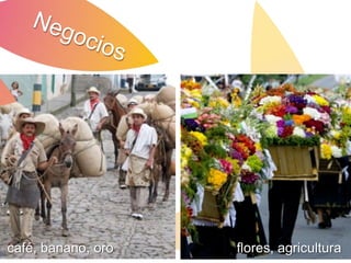 Enrique Olaya Herrera
café, banano, oro   flores, agricultura
 