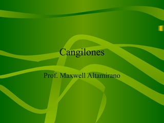 Cangilones
Prof. Maxwell Altamirano
 