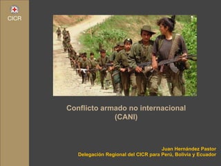 Juan Hernández Pastor
Delegación Regional del CICR para Perú, Bolivia y Ecuador
Conflicto armado no internacional
(CANI)
 