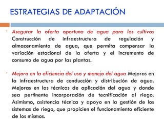 ESTRATEGIAS DE ADAPTACIÓN Asegurar la oferta oportuna de agua para los cultivos  Construcción de infraestructura de regulación y almacenamiento de agua, que permita compensar la variación estacional de la oferta y el incremento de consumo de agua por las plantas. Mejora en la eficiencia del uso y manejo del agua   Mejoras en la infraestructura de conducción y distribución de agua. Mejoras en las técnicas de aplicación del agua y donde sea pertinente incorporación de tecnificación al riego. Asimismo, asistencia técnica y apoyo en la gestión de los sistemas de riego, que propicien el funcionamiento eficiente de los mismos. 