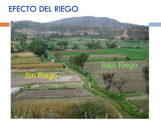 EFECTO DEL RIEGO 