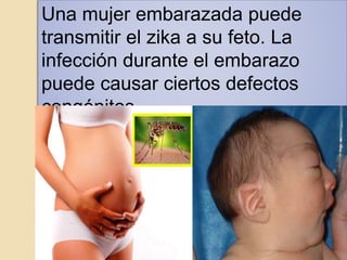 Una mujer embarazada puede
transmitir el zika a su feto. La
infección durante el embarazo
puede causar ciertos defectos
congénitos.
 