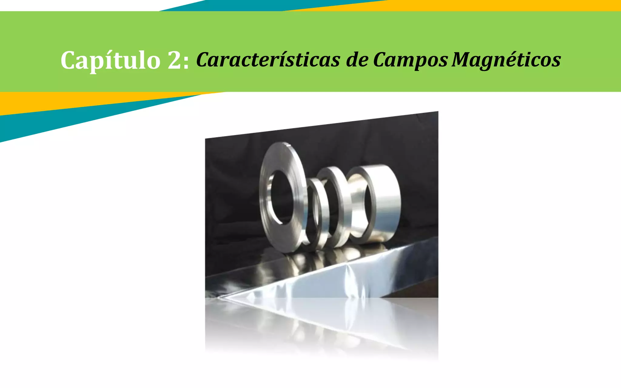 Capítulo 2: Características de Campos Magnéticos
 