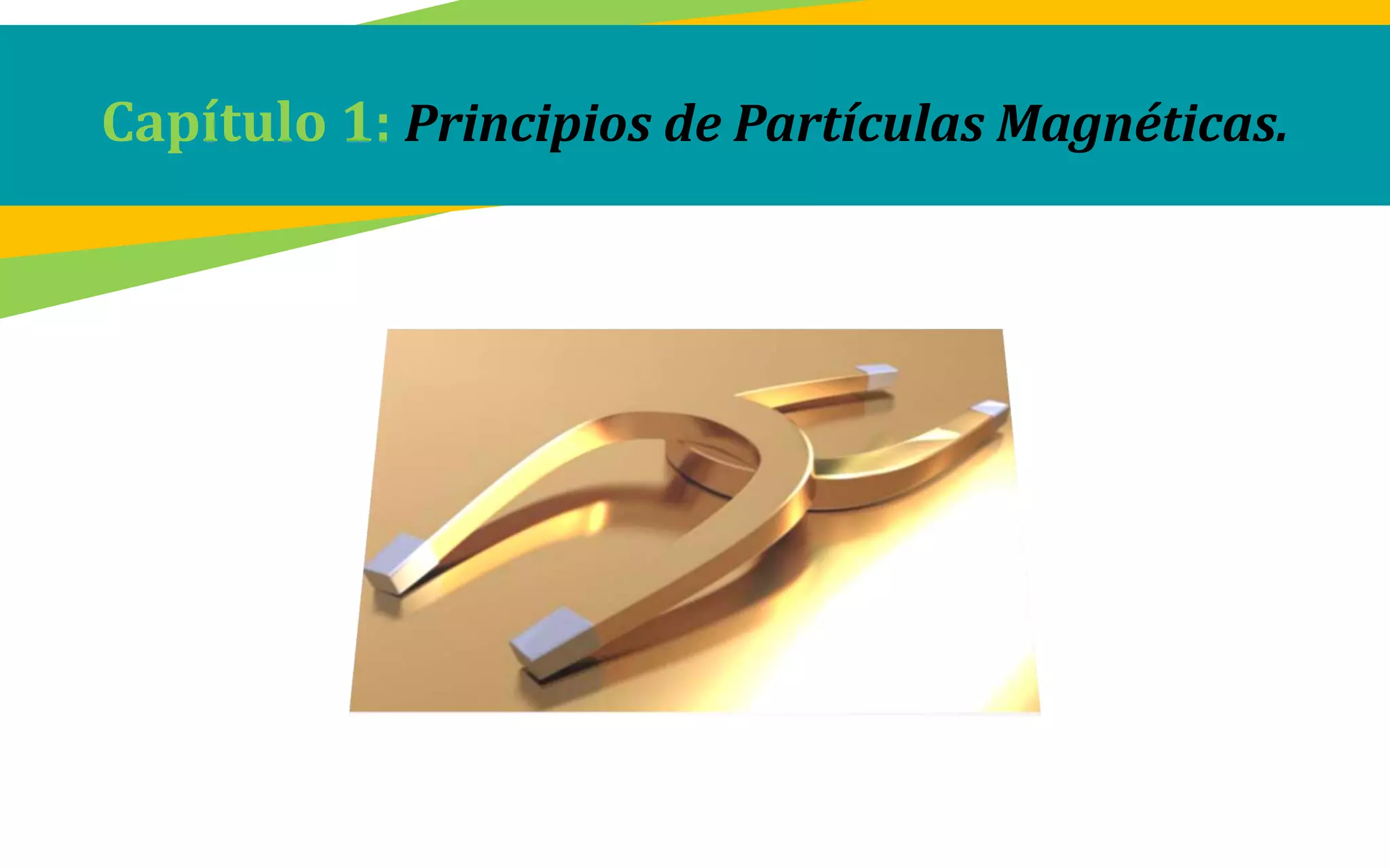 Capítulo 1: Principios de Partículas Magnéticas.
 