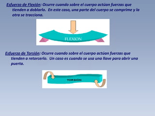 Esfuerzo de Flexión: Ocurre cuando sobre el cuerpo actúan fuerzas que
tienden a doblarlo. En este caso, una parte del cuerpo se comprime y la
otra se tracciona.

FLEXION

Esfuerzo de Torsión: Ocurre cuando sobre el cuerpo actúan fuerzas que
tienden a retorcerlo. Un caso es cuando se usa una llave para abrir una
puerta.

 