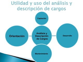 Análisis y 
Descripción 
de Cargos 
Captación 
Desarrollo 
Mantenimiento 
Orientación  