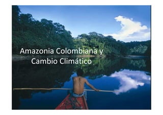 Amazonia Colombiana y
  Cambio Climático
 