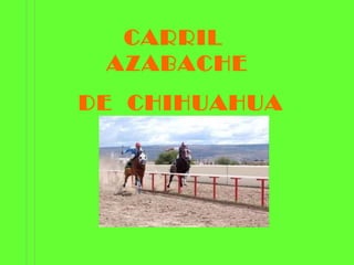 CARRIL  AZABACHE  DE  CHIHUAHUA 
