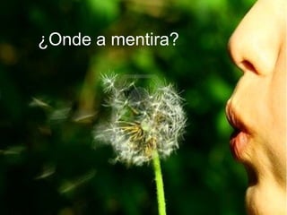 ¿Onde a mentira?
 