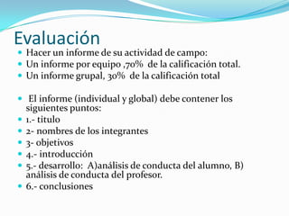 EvaluaciónHacer un informe de su actividad de campo:Un informe por equipo ,70%  de la calificación total.Un informe grupal, 30%  de la calificación total El informe (individual y global) debe contener los siguientes puntos: 1.- titulo2- nombres de los integrantes 3- objetivos4.- introducción 5.- desarrollo:  A)análisis de conducta del alumno, B) análisis de conducta del profesor. 6.- conclusiones 
