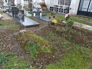 [CASAR DE PALOMERO] [CEMENTERIO]