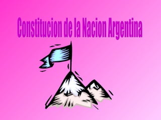 Constitucion de la Nacion Argentina 