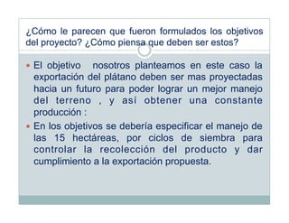 ¿Cómo le parecen que fueron formulados los objetivos
del proyecto? ¿Cómo piensa que deben ser estos?

  El objetivo   nosotros planteamos en este caso la
   exportación del plátano deben ser mas proyectadas
   hacia un futuro para poder lograr un mejor manejo
   del terreno , y así obtener una constante
   producción :
  En los objetivos se debería especificar el manejo de
   las 15 hectáreas, por ciclos de siembra para
   controlar la recolección del producto y dar
   cumplimiento a la exportación propuesta.
 