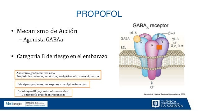 5 Fluorocitosina Mecanismo De Accion
