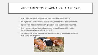 MEDICAMENTOS Y FÁRMACOS A APLICAR.
• En el cerdo se usan los siguientes métodos de administración:
• Por inyección - lntrc: venosa, subcutánea, intradérmica e intramuscular.
• Tópica - Los medicamentos son aplicados en la superficie del cuerpo.
• Oral - La mayoría de los medicamentos inyectables también están
disponibles para la administración oral.
• Vía útero - Los bolos (tabletas de disolución lenta) pueden ser situados
en el útero tras el parto.
 
