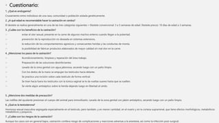 • Cuestionario:
1. ¿Qué es endogamia?
Cruzamiento entre individuos de una raza, comunidad o población aislada genéticamente.
2. ¿A qué edad es recomendable hacer la castración en cerdos?
El destete se realiza generalmente en una de las tres categorías siguientes: • Destete convencional: 3 a 5 semanas de edad. Destete precoz: 10 días de edad a 3 semanas.
3. ¿Cuáles son los beneficios de la castración?
 evitar el olor sexual, presente en la carne de algunos machos enteros cuando llegan a la pubertad.
 prevención de la reproducción no deseada en sistemas extensivos,
 la reducción de los comportamientos agresivos y consecuentes heridas y las conductas de monta,
 la posibilidad de fabricar productos elaborados de mayor calidad sin mal olor en la carne.
4. ¿Menciones los pasos de la castración?
 Acondicionamiento, limpieza y reparación del área trabajo.
 Preparación de las soluciones desinfectantes.
 Lavado de la zona genital con agua jabonosa, secando luego con un paño limpio.
 Con los dedos de la mano se empujan los testículos hacia delante.
 Se practica una incisión sobre cada testículo de forma vertical.
 Se tiran hacia fuera los testículos con la túnica vaginal se le da vueltas suaves hasta que se suelten.
 Se vierte algún antiséptico sobre la herida dejando luego en libertad al cerdo.
5. ¿Mencione dos medidas de precaución?
Las rodillas del ayudante presionan el cuerpo del animal para inmovilizarlo. Lavado de la zona genital con jabón antiséptico, secando luego con un paño limpio.
6. ¿Qué es la testosterona?
Hormona sexual masculina segregada especialmente en el testículo, pero también, y en menor cantidad, en el ovario y en la corteza suprarrenal, que tiene efectos morfológicos, metabólicos
metabólicos y psíquicos.
7. ¿Cuáles son los riesgos de la castración?
Aunque los casos son en general bajos, castración conlleva riesgo de complicaciones y reacciones adversas a la anestesia, así como la infección post-surgical.
 