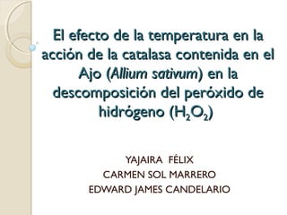 El efecto de la temperatura en laEl efecto de la temperatura en la
acción de la catalasa contenida en elacción de la catalasa contenida en el
Ajo (Ajo (Allium sativumAllium sativum) en la) en la
descomposición del peróxido dedescomposición del peróxido de
hidrógeno (hidrógeno (HH22OO22))
YAJAIRA FÉLIX
CARMEN SOL MARRERO
EDWARD JAMES CANDELARIO
 