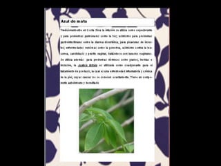 Presentación catalogo