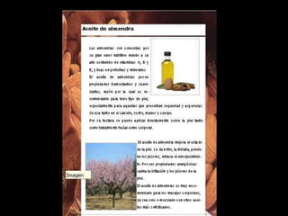 Presentación catalogo