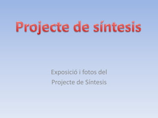 Exposició i fotos del
Projecte de Síntesis
 