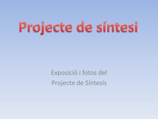 Exposició i fotos del
Projecte de Síntesis
 