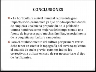 CONCLUSIONES
0 • La horticultura a nivel mundial representa gran
impacto socio-económico ya que brinda oportunidades
de empleo a una buena proporción de la población
tanto a hombres como mujeres del campo siendo una
fuente de ingresos para muchas familias, especialmente
de la pequeña agricultura campesina.
0 Para el establecimiento del cultivo por primera vez se
debe tener en cuenta la topografía del terreno así como
el análisis de suelo previo; esto nos indica los
correctivos a utilizar en caso de ser necesarios o el tipo
de fertilizantes.
 