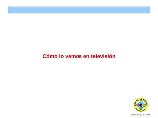 Cómo lo vemos en televisión 