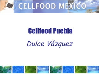 Cellfood Puebla Dulce Vázquez  