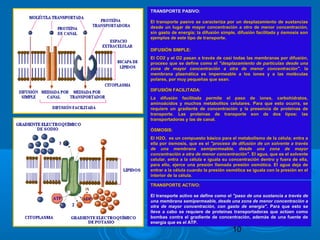 10
TRANSPORTE PASIVO:TRANSPORTE PASIVO:
El transporte pasivo se caracteriza por un desplazamiento de sustanciasEl transporte pasivo se caracteriza por un desplazamiento de sustancias
desde un lugar de mayor concentración a otro de menor concentración,desde un lugar de mayor concentración a otro de menor concentración,
sin gasto de energía; la difusión simple, difusión facilitada y ósmosis sonsin gasto de energía; la difusión simple, difusión facilitada y ósmosis son
ejemplos de este tipo de transporte.ejemplos de este tipo de transporte.
DIFUSIÓN SIMPLE:DIFUSIÓN SIMPLE:
El CO2 y el O2 pasan a través de casi todas las membranas por difusión,El CO2 y el O2 pasan a través de casi todas las membranas por difusión,
proceso que se define como elproceso que se define como el "desplazamiento de partículas desde una"desplazamiento de partículas desde una
zona de mayor concentración a otra de menor concentración"zona de mayor concentración a otra de menor concentración". la. la
membrana plasmática es impermeable a los iones y a las moléculasmembrana plasmática es impermeable a los iones y a las moléculas
polares, por muy pequeñas que sean.polares, por muy pequeñas que sean.
DIFUSIÓN FACILITADA:DIFUSIÓN FACILITADA:
La difusión facilitada permite el paso de iones, carbohidratos,La difusión facilitada permite el paso de iones, carbohidratos,
aminoácidos y muchos metabolitos celulares. Para que esto ocurra, seaminoácidos y muchos metabolitos celulares. Para que esto ocurra, se
requiere un gradiente de concentración y la presencia de proteínas derequiere un gradiente de concentración y la presencia de proteínas de
transporte. Las proteínas de transporte son de dos tipos: lastransporte. Las proteínas de transporte son de dos tipos: las
transportadoras y las de canal.transportadoras y las de canal.
ÓSMOSIS:ÓSMOSIS:
El H2O, es un compuesto básico para el metabolismo de la célula; entra aEl H2O, es un compuesto básico para el metabolismo de la célula; entra a
ella por ósmosis, que es elella por ósmosis, que es el "proceso de difusión de un solvente a través"proceso de difusión de un solvente a través
de una membrana semipermeable, desde una zona de mayorde una membrana semipermeable, desde una zona de mayor
concentración a otra de menor concentración"concentración a otra de menor concentración". El agua, que es el solvente. El agua, que es el solvente
celular, entra a la célula e iguala su concentración dentro y fuera de ella,celular, entra a la célula e iguala su concentración dentro y fuera de ella,
para ello, ejerce una presión llamada presión osmótica. El agua deja depara ello, ejerce una presión llamada presión osmótica. El agua deja de
entrar a la célula cuando la presión osmótica se iguala con la presión en elentrar a la célula cuando la presión osmótica se iguala con la presión en el
interior de la célula.interior de la célula.
TRANSPORTE ACTIVO:TRANSPORTE ACTIVO:
El transporte activo se define como elEl transporte activo se define como el "paso de una sustancia a través de"paso de una sustancia a través de
una membrana semipermeable, desde una zona de menor concentración auna membrana semipermeable, desde una zona de menor concentración a
otra de mayor concentración, con gasto de energía"otra de mayor concentración, con gasto de energía". Para que esto se. Para que esto se
lleve a cabo se requiere de proteínas transportadoras que actúen comolleve a cabo se requiere de proteínas transportadoras que actúen como
bombas contra el gradiente de concentración, además de una fuente debombas contra el gradiente de concentración, además de una fuente de
energía que es el ATP.energía que es el ATP.
 