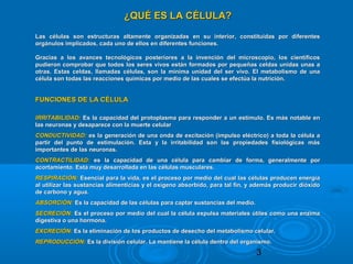 3
¿QUÉ ES LA CÉLULA?¿QUÉ ES LA CÉLULA?
Las células son estructuras altamente organizadas en su interior, constituidas por diferentesLas células son estructuras altamente organizadas en su interior, constituidas por diferentes
orgánulos implicados, cada uno de ellos en diferentes funciones.orgánulos implicados, cada uno de ellos en diferentes funciones.
Gracias a los avances tecnológicos posteriores a la invención del microscopio, los científicosGracias a los avances tecnológicos posteriores a la invención del microscopio, los científicos
pudieron comprobar que todos los seres vivos están formados por pequeñas celdas unidas unas apudieron comprobar que todos los seres vivos están formados por pequeñas celdas unidas unas a
otras. Estas celdas, llamadas células, son la mínima unidad del ser vivo. El metabolismo de unaotras. Estas celdas, llamadas células, son la mínima unidad del ser vivo. El metabolismo de una
célula son todas las reacciones químicas por medio de las cuales se efectúa la nutrición.célula son todas las reacciones químicas por medio de las cuales se efectúa la nutrición.
FUNCIONES DE LA CÉLULAFUNCIONES DE LA CÉLULA
IRRITABILIDAD:IRRITABILIDAD: Es la capacidad del protoplasma para responder a un estímulo. Es más notable enEs la capacidad del protoplasma para responder a un estímulo. Es más notable en
las neuronas y desaparece con la muerte celularlas neuronas y desaparece con la muerte celular
CONDUCTIVIDAD:CONDUCTIVIDAD: es la generación de una onda de excitación (impulso eléctrico) a toda la célula aes la generación de una onda de excitación (impulso eléctrico) a toda la célula a
partir del punto de estimulación. Esta y la irritabilidad son las propiedades fisiológicas máspartir del punto de estimulación. Esta y la irritabilidad son las propiedades fisiológicas más
importantes de las neuronas.importantes de las neuronas.
CONTRACTILIDAD:CONTRACTILIDAD: es la capacidad de una célula para cambiar de forma, generalmente pores la capacidad de una célula para cambiar de forma, generalmente por
acortamiento. Está muy desarrollada en las células musculares.acortamiento. Está muy desarrollada en las células musculares.
RESPIRACIÓN:RESPIRACIÓN: Esencial para la vida, es el proceso por medio del cual las células producen energíaEsencial para la vida, es el proceso por medio del cual las células producen energía
al utilizar las sustancias alimenticias y el oxígeno absorbido, para tal fin, y además producir dióxidoal utilizar las sustancias alimenticias y el oxígeno absorbido, para tal fin, y además producir dióxido
de carbono y agua.de carbono y agua.
ABSORCIÓN:ABSORCIÓN: Es la capacidad de las células para captar sustancias del medio.Es la capacidad de las células para captar sustancias del medio.
SECRECIÓN:SECRECIÓN: Es el proceso por medio del cual la célula expulsa materiales útiles como una enzimaEs el proceso por medio del cual la célula expulsa materiales útiles como una enzima
digestiva o una hormona.digestiva o una hormona.
EXCRECIÓN:EXCRECIÓN: Es la eliminación de los productos de desecho del metabolismo celular.Es la eliminación de los productos de desecho del metabolismo celular.
REPRODUCCIÓN:REPRODUCCIÓN: Es la división celular. La mantiene la célula dentro del organismo.Es la división celular. La mantiene la célula dentro del organismo.
 