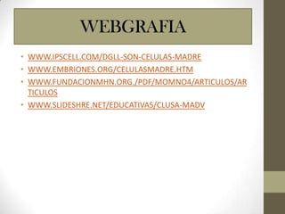 WEBGRAFIA
• WWW.IPSCELL.COM/DGLL-SON-CELULAS-MADRE
• WWW.EMBRIONES.ORG/CELULASMADRE.HTM
• WWW.FUNDACIONMHN.ORG./PDF/MOMNO4/ARTICULOS/AR
TICULOS
• WWW.SLIDESHRE.NET/EDUCATIVAS/CLUSA-MADV

 