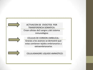 •
•

ACTIVACION DE OVOCITOS POR
V
TRANSFERENCIA SOMATICA:
Crean células de3 sangre y del sistema
inmunológico
CELULAS DE CORDON UMBILICAL:
Gracias a los avances se demostró que
estas contienen tejidos embrionarios y
extraembrionarios
CELULASMADRE LIQUIDO AMNIOTICO:

 