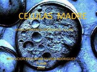 CELULAS MADRE
MARIA FERNANDA RODRIGUEZ ACUÑA

INTITUCION EDUCATIVA SILVINO RODRIGUEZ
TUNJA
2013

 