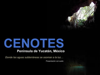 CENOTES Península de Yucatán, México Donde las aguas subterráneas se asoman a la luz… Presentación con audio 