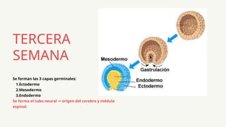 presentación centro de salud médica ilustrativo creativo celeste y ...