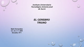Instituto Universitario
Tecnológico Antonio José
de Sucre
EL CEREBRO
TRIUNO
Rahi Fernandez
CI: 22.111.999
Escuela: #71
 