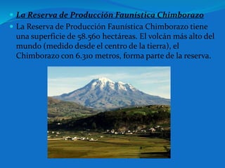  La Reserva de Producción Faunística Chimborazo
 La Reserva de Producción Faunística Chimborazo tiene
una superficie de 58.560 hectáreas. El volcán más alto del
mundo (medido desde el centro de la tierra), el
Chimborazo con 6.310 metros, forma parte de la reserva.
 