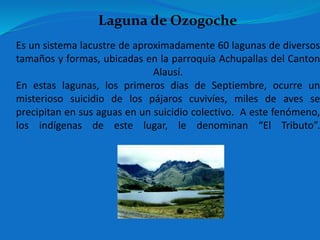 Es un sistema lacustre de aproximadamente 60 lagunas de diversos
tamaños y formas, ubicadas en la parroquia Achupallas del Canton
Alausí.
En estas lagunas, los primeros dias de Septiembre, ocurre un
misterioso suicidio de los pájaros cuvivíes, miles de aves se
precipitan en sus aguas en un suicidio colectivo. A este fenómeno,
los indígenas de este lugar, le denominan “El Tributo”.
Laguna de Ozogoche
 