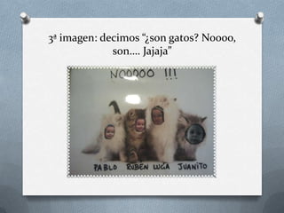 3ª imagen: decimos “¿son gatos? Noooo,
son…. Jajaja”

 