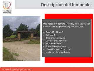 Descripción del Inmueble


Tres lotes de terreno rurales, con vegetación
natural, pastos Y pino en algunos sectores.

-   Área: 56.162 mts2
-   Estrato: 3
-   Tipo lote: Lote vacío
-   Uso del lote: Agrícola
-   Se puede lotear
-   Sobre vía secundaria
-   Ubicación lote: Zona rural
-   Linda con rio o quebrada
 