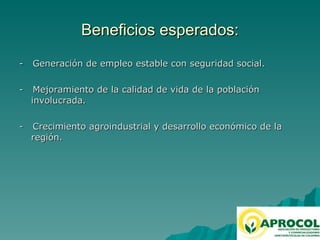 Fruticultura / horticultura en el Valle del Cauca 