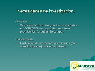 Fruticultura / horticultura en el Valle del Cauca 